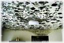 Mold on ceiling